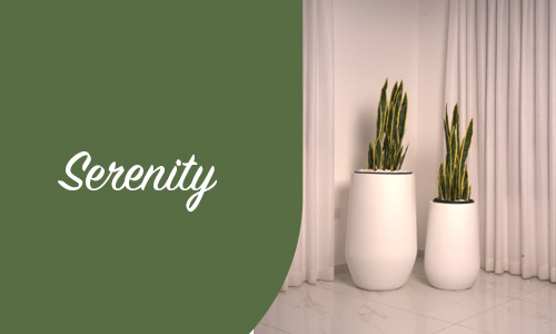Serenity